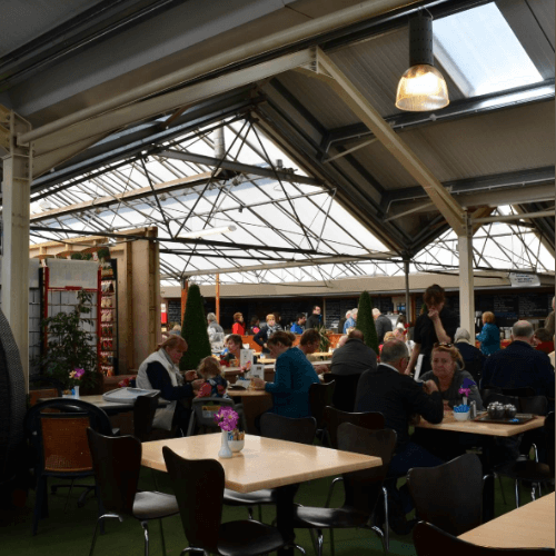 Kings Garden & Leisure