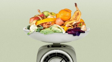 Food waste on scale