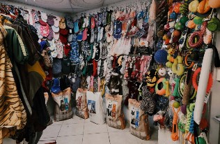 Pet Shop