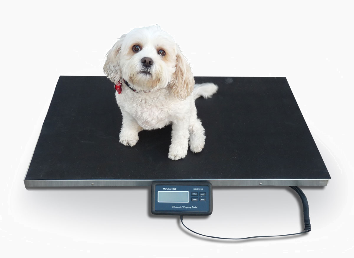 Vet and Animal Scales