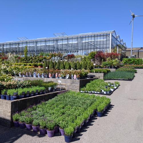 GARDEN CENTRE