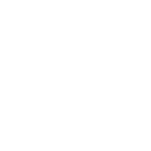 Swanseacouncil